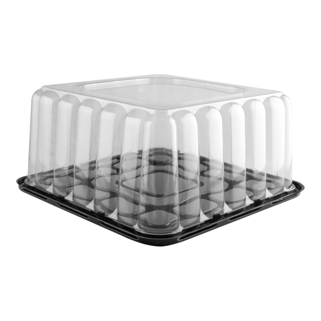 cake-package-combo-222-090433-090268-panoramic-packaging